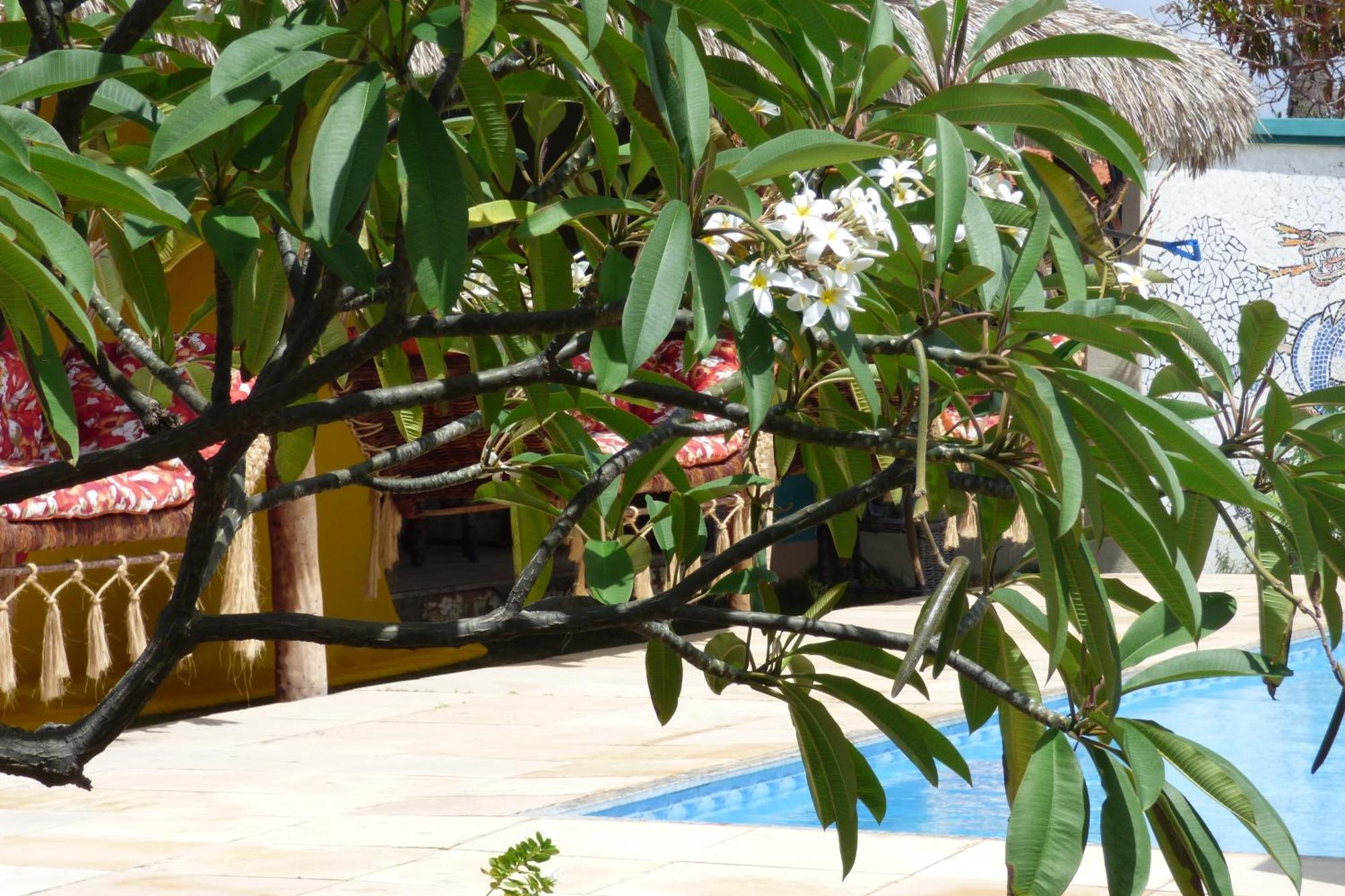 Hotel A Toca Do Bem-Te-Vi à Águas Belas Extérieur photo